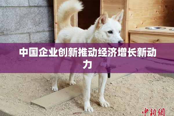 中国企业创新推动经济增长新动力