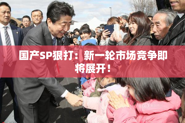 国产SP狠打：新一轮市场竞争即将展开！