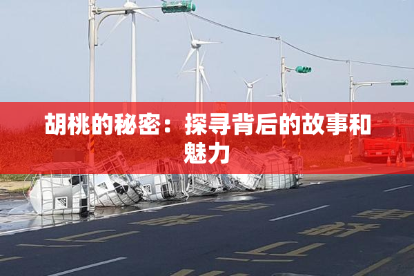 胡桃的秘密：探寻背后的故事和魅力