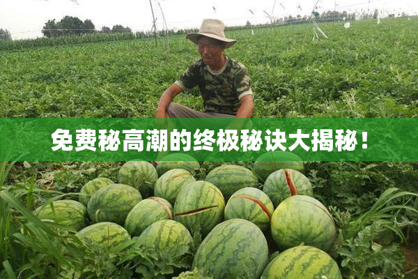 免费秘高潮的终极秘诀大揭秘！