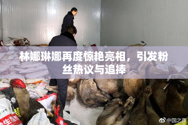 林娜琳娜再度惊艳亮相，引发粉丝热议与追捧