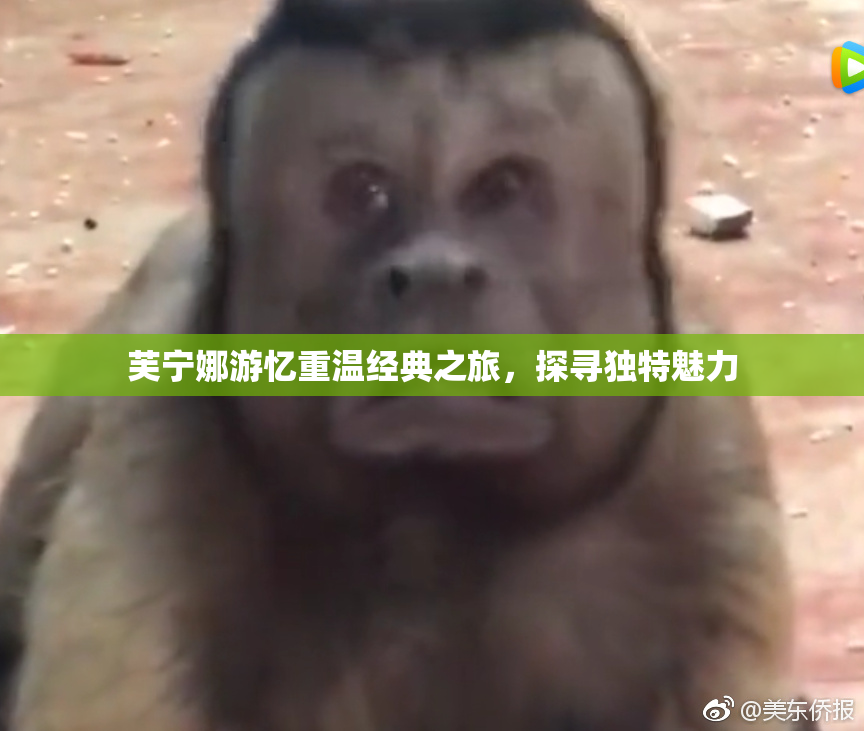 芙宁娜游忆重温经典之旅，探寻独特魅力