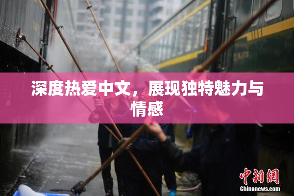 深度热爱中文，展现独特魅力与情感