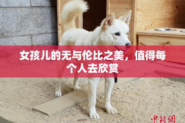女孩儿的无与伦比之美，值得每个人去欣赏
