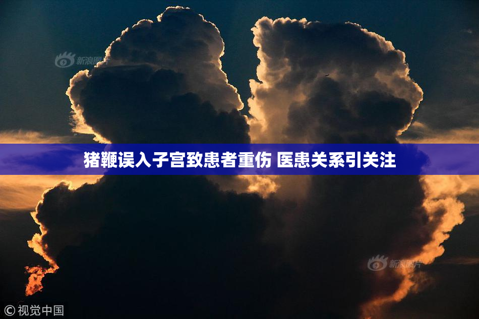 猪鞭误入子宫致患者重伤 医患关系引关注
