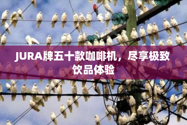 JURA牌五十款咖啡机，尽享极致饮品体验