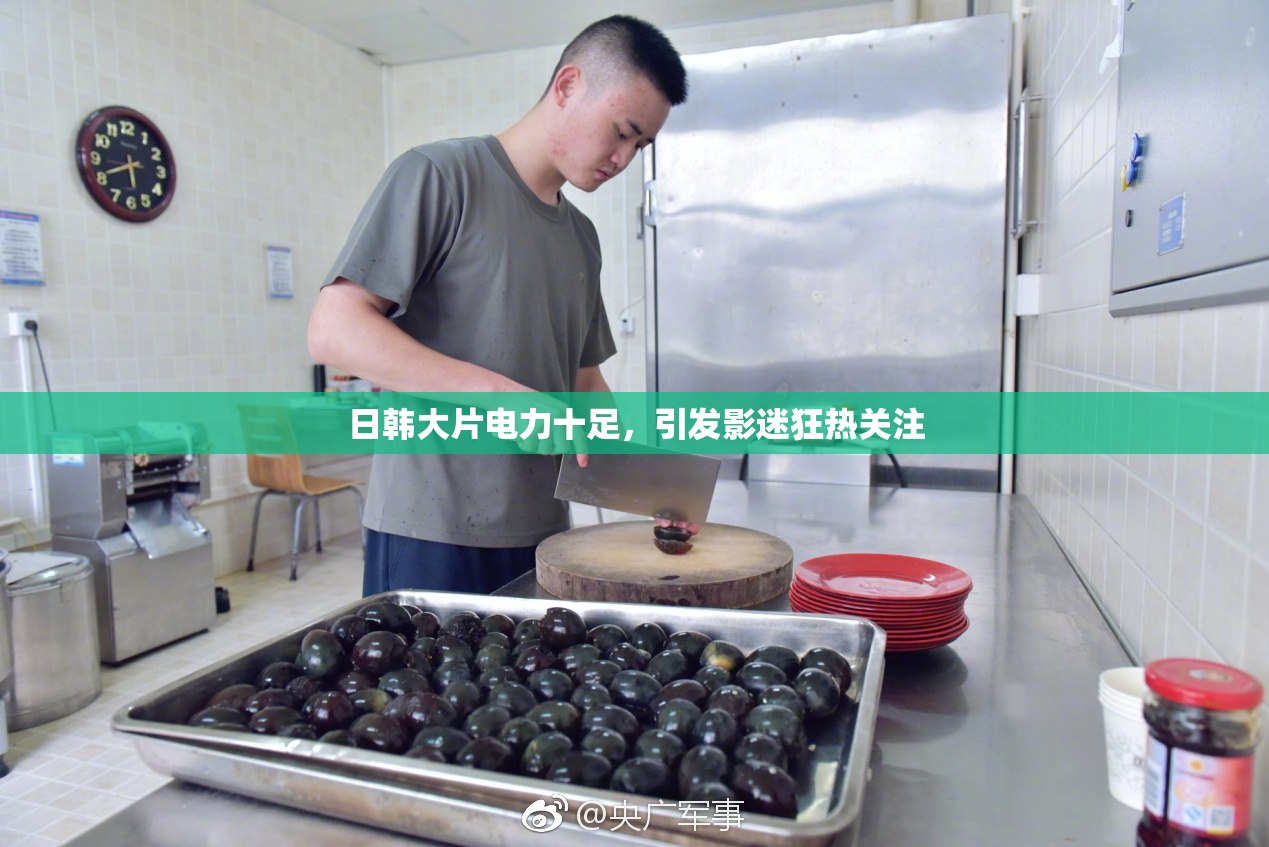 日韩大片电力十足，引发影迷狂热关注