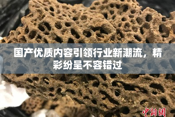 国产优质内容引领行业新潮流，精彩纷呈不容错过