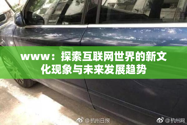 www：探索互联网世界的新文化现象与未来发展趋势