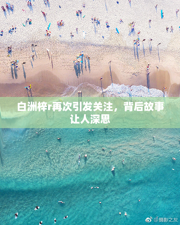 白洲梓r再次引发关注，背后故事让人深思