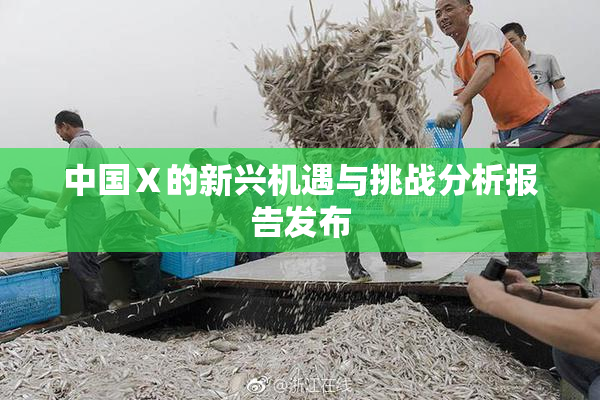 中国Ⅹ的新兴机遇与挑战分析报告发布