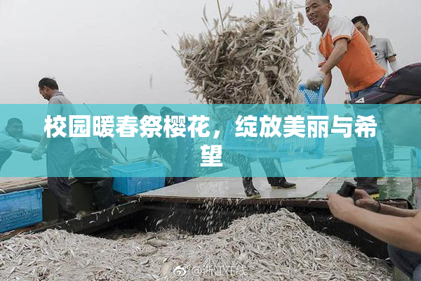 校园暖春祭樱花，绽放美丽与希望