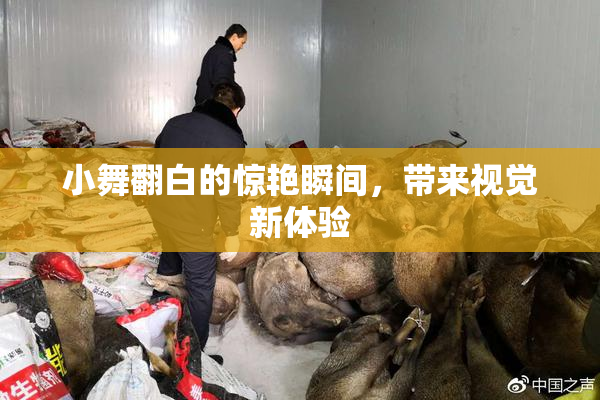 小舞翻白的惊艳瞬间，带来视觉新体验