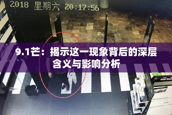 9.1芒：揭示这一现象背后的深层含义与影响分析