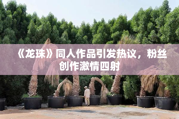 《龙珠》同人作品引发热议，粉丝创作激情四射