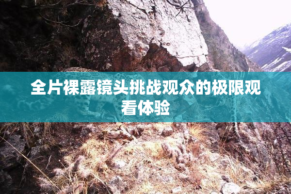 全片裸露镜头挑战观众的极限观看体验