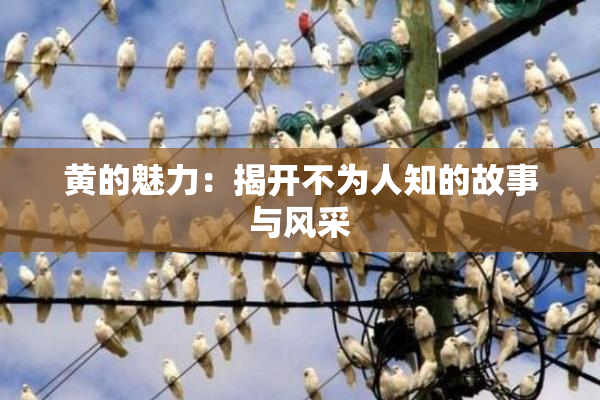 黄的魅力：揭开不为人知的故事与风采