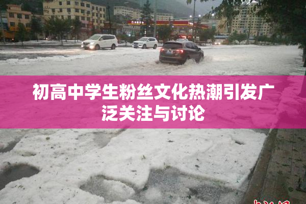 初高中学生粉丝文化热潮引发广泛关注与讨论