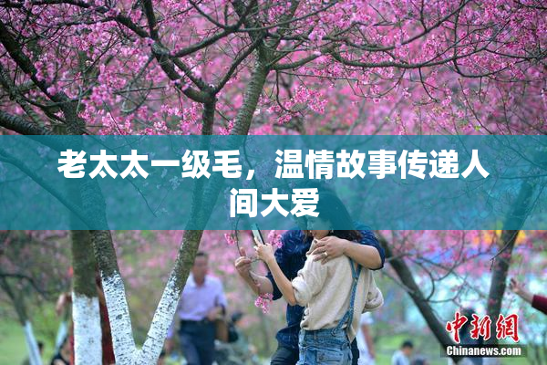 老太太一级毛，温情故事传递人间大爱