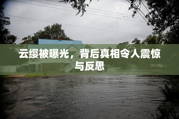 云缨被曝光，背后真相令人震惊与反思