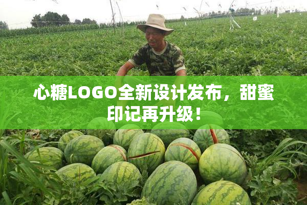 心糖LOGO全新设计发布，甜蜜印记再升级！