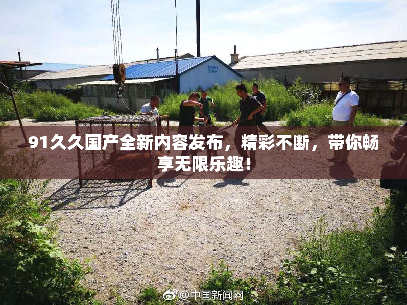 91久久国产全新内容发布，精彩不断，带你畅享无限乐趣！