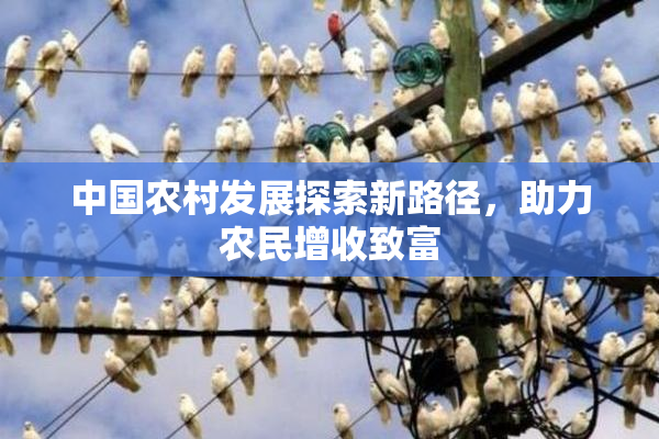 中国农村发展探索新路径，助力农民增收致富