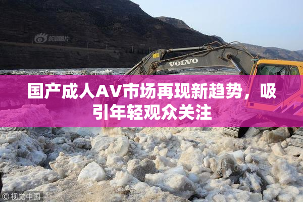 国产成人AV市场再现新趋势，吸引年轻观众关注