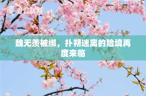 魏无羡被绑，扑朔迷离的险境再度来临