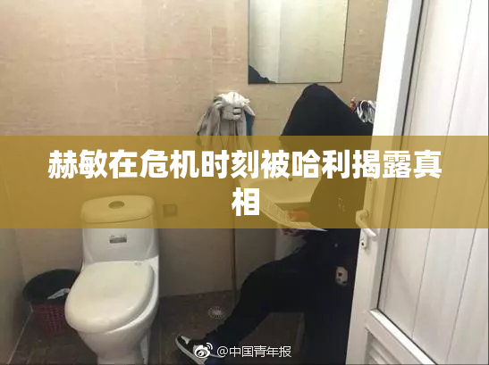 赫敏在危机时刻被哈利揭露真相