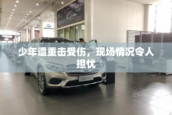 少年遭重击受伤，现场情况令人担忧
