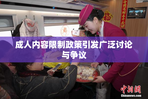 成人内容限制政策引发广泛讨论与争议