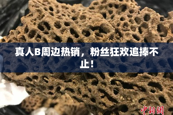 真人B周边热销，粉丝狂欢追捧不止！