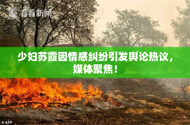 少妇苏霞因情感纠纷引发舆论热议，媒体聚焦！
