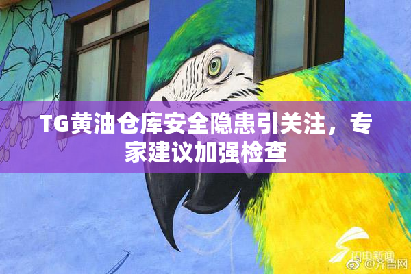 TG黄油仓库安全隐患引关注，专家建议加强检查
