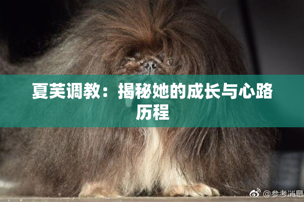 夏芙调教：揭秘她的成长与心路历程