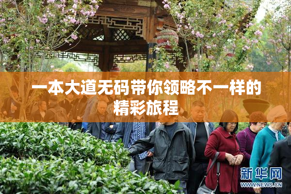 一本大道无码带你领略不一样的精彩旅程