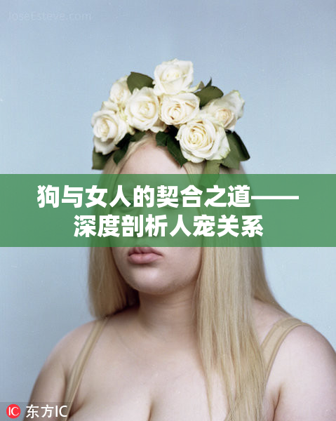 狗与女人的契合之道——深度剖析人宠关系