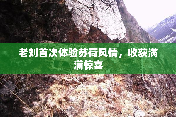 老刘首次体验苏荷风情，收获满满惊喜