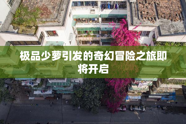 极品少萝引发的奇幻冒险之旅即将开启