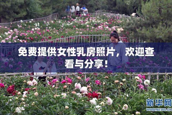免费提供女性乳房照片，欢迎查看与分享！