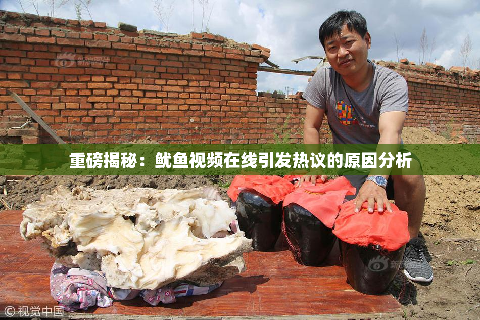重磅揭秘：鱿鱼视频在线引发热议的原因分析