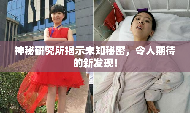 神秘研究所揭示未知秘密，令人期待的新发现！