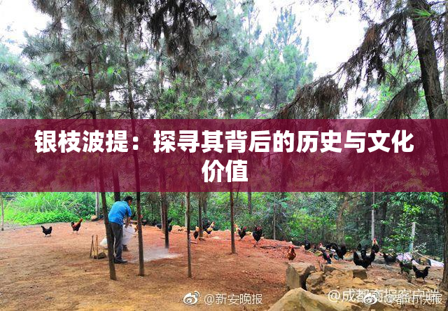 银枝波提：探寻其背后的历史与文化价值