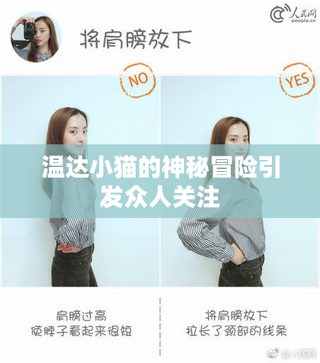 温达小猫的神秘冒险引发众人关注