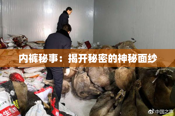 内裤秘事：揭开秘密的神秘面纱