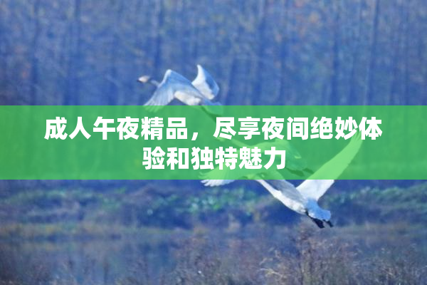 成人午夜精品，尽享夜间绝妙体验和独特魅力