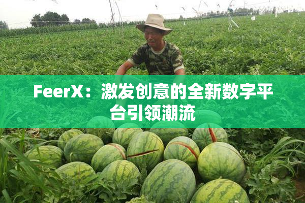 FeerX：激发创意的全新数字平台引领潮流