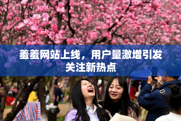羞羞网站上线，用户量激增引发关注新热点