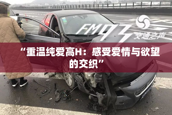 “重温纯爱高H：感受爱情与欲望的交织”